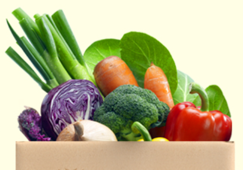 농식품바우처야채과일