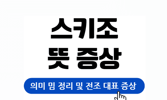 스키조 뜻과 증상 치료 바로가기