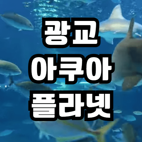 광교 아쿠아플라넷 바로가기