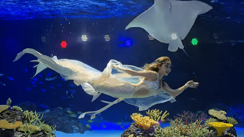 아쿠아플라넷 인어공주