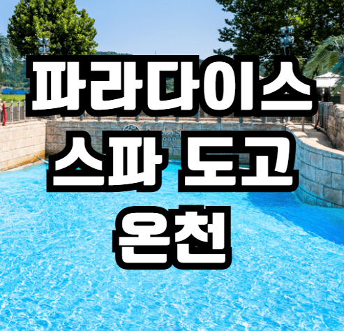파라다이스 스파 도고 후기 및 예약 바로가기