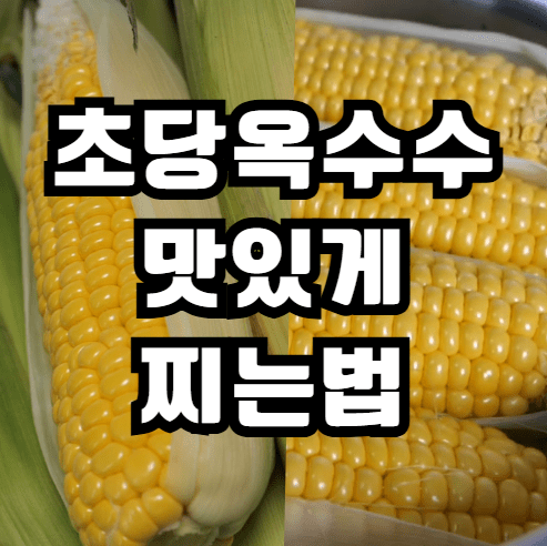 초당옥수수 삶는법 찌는법 전자레인지 바로가기